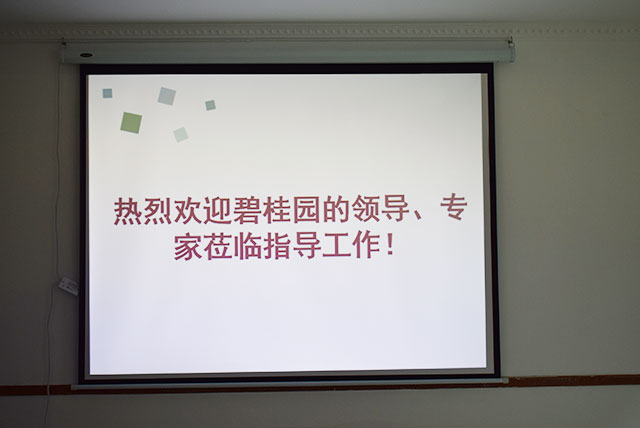 碧桂園領導、專家蒞臨德國CUALI磚麗指導工作